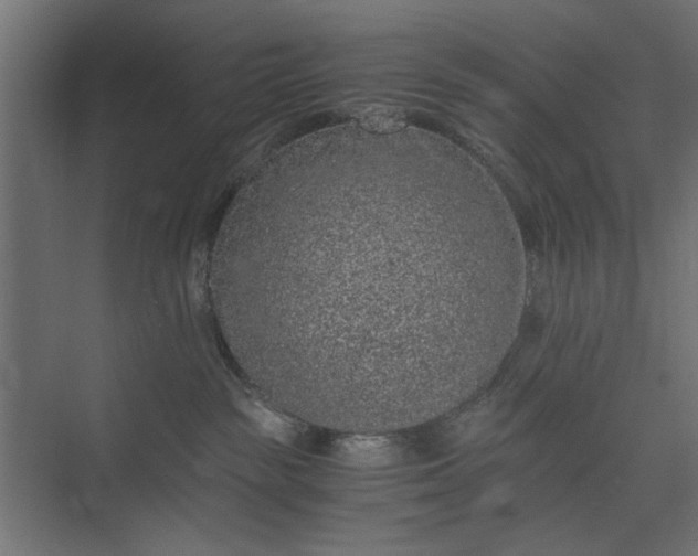 X0000073920189200608251559