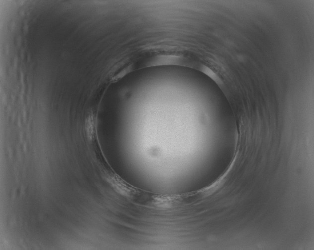 X0000073920190200608251559