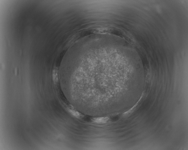 X0000073920191200608251559