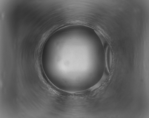 X0000073920193200608251558