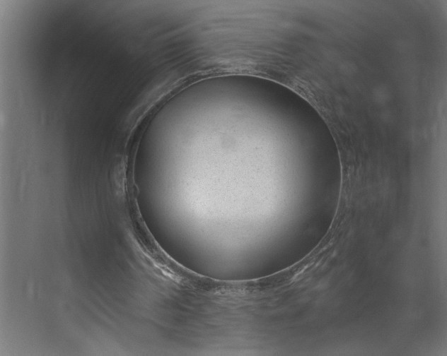 X0000073920194200608251558