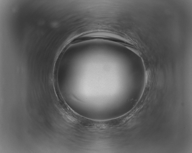 X0000073920195200608251558