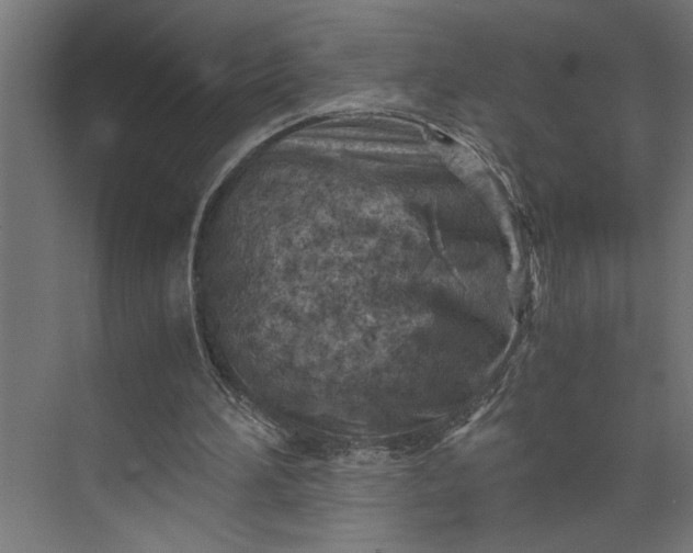 X0000073920196200608251558