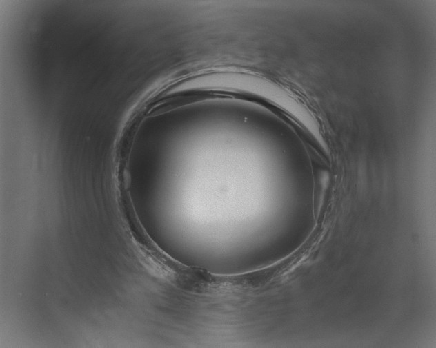 X0000073920197200608251558