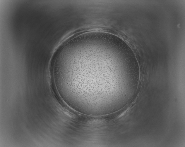 X0000073920198200608251558