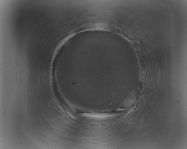 X0000073920200200608251558