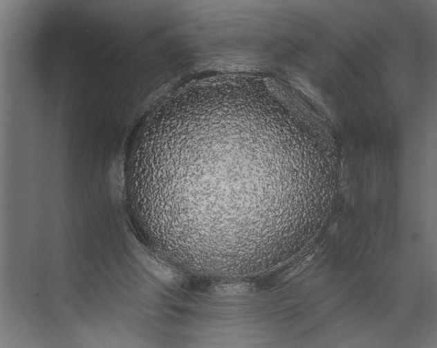 X0000073920202200608251558