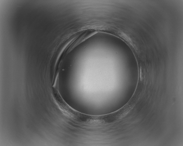 X0000073920205200608251558