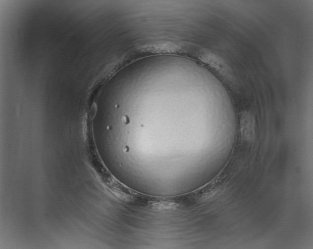 X0000073920206200608251558