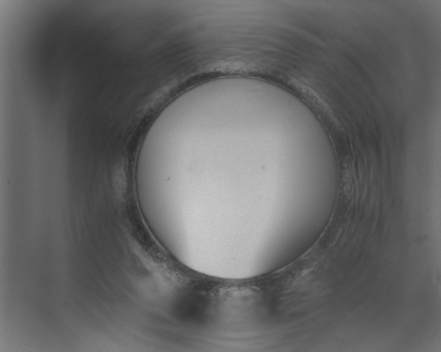 X0000073920208200608251558