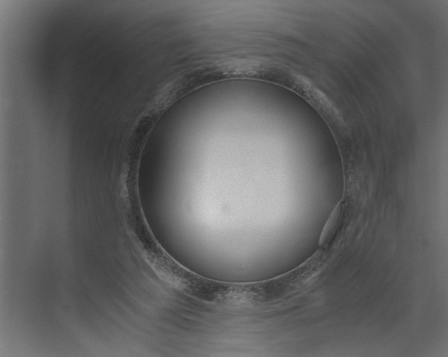 X0000073920209200608251558