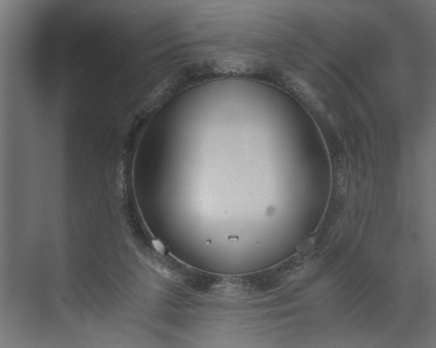 X0000073920211200608251558