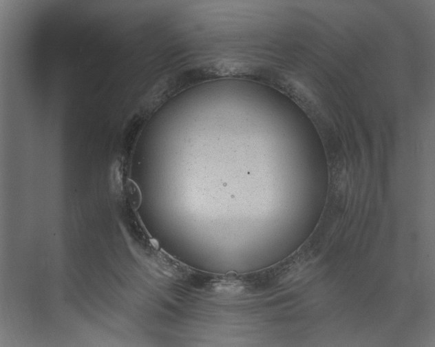 X0000073920214200608251558