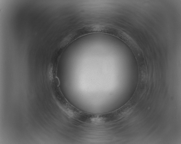 X0000073920216200608251558