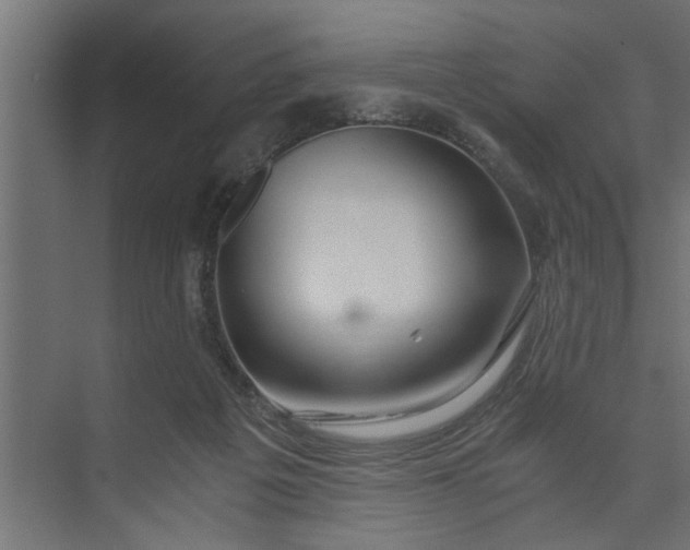 X0000073920217200608251558