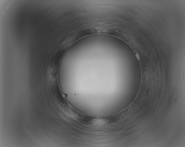 X0000073920218200608251558