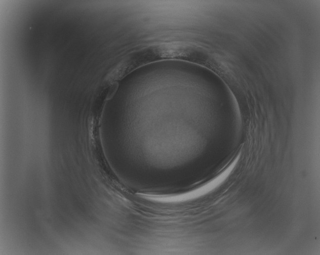 X0000073920219200608251558