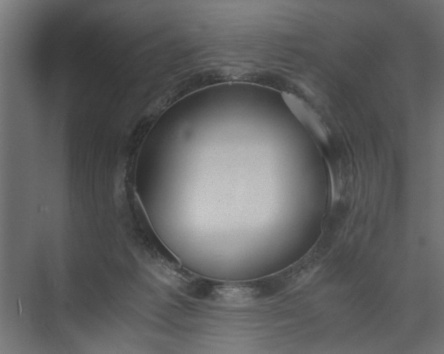 X0000073920221200608251558