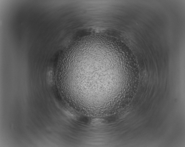 X0000073920222200608251558