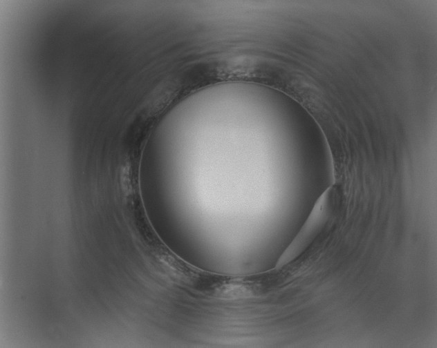 X0000073920224200608251557