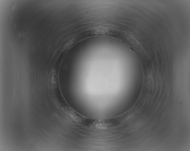 X0000073920228200608251557