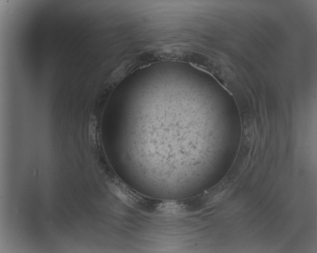 X0000073920231200608251557