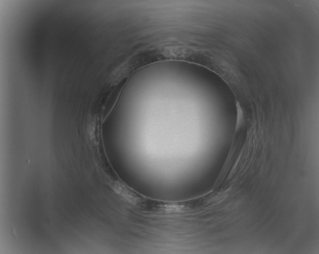 X0000073920233200608251557