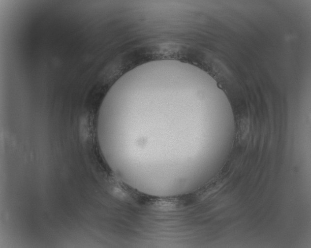 X0000073920236200608251557