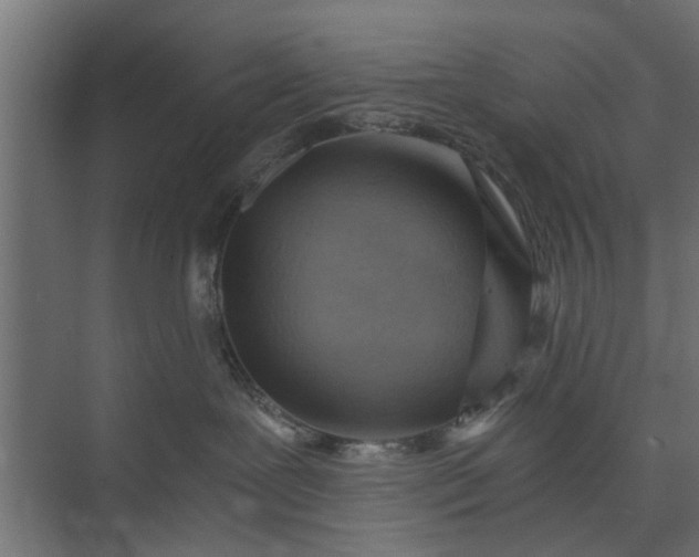 X0000073920239200608251557