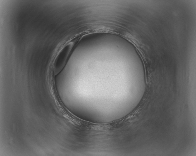 X0000073920241200608251556