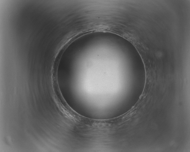 X0000073920242200608251556