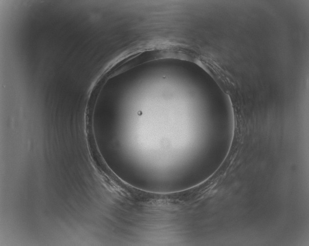 X0000073920244200608251556