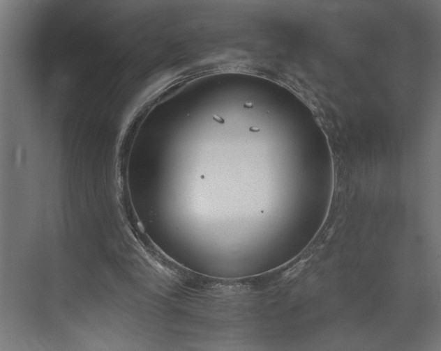 X0000073920245200608251556