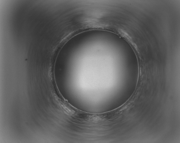 X0000073920249200608251557