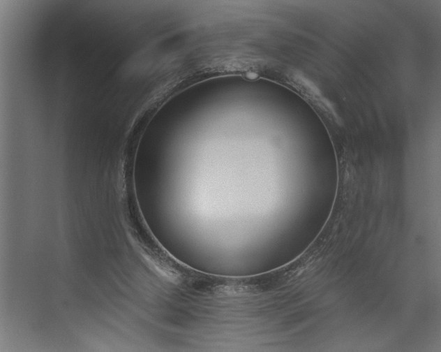 X0000073920250200608251557