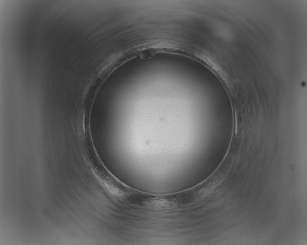 X0000073920253200608251557