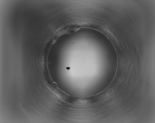 X0000073920260200608251557