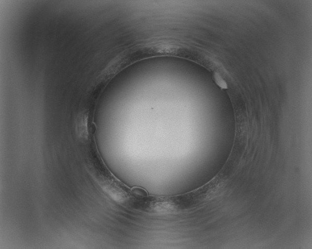 X0000073920262200608251557