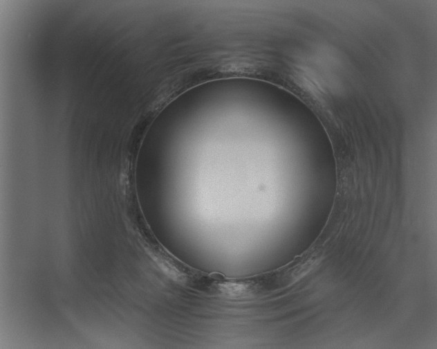 X0000073920265200608251557