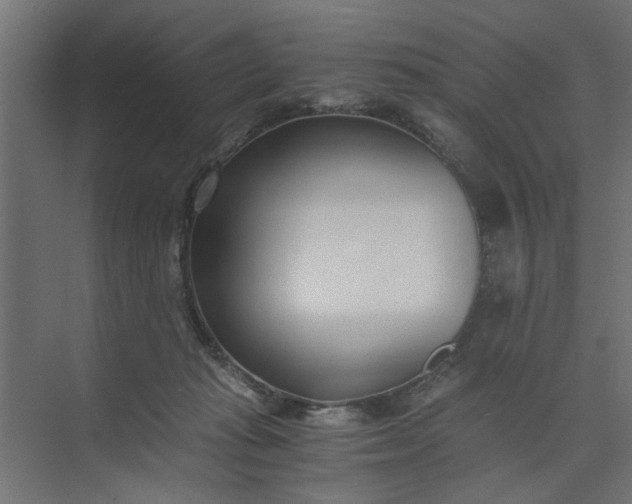 X0000073920269200608251557