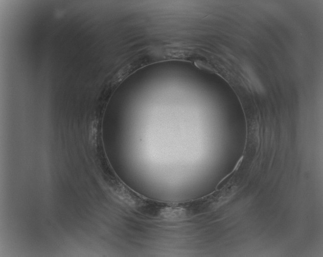 X0000073920271200608251557