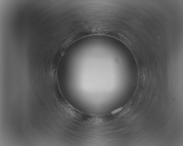 X0000073920276200608251557