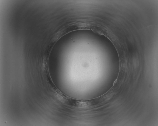 X0000073920277200608251557