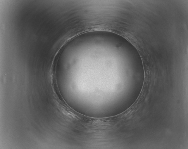 X0000073920290200608251556