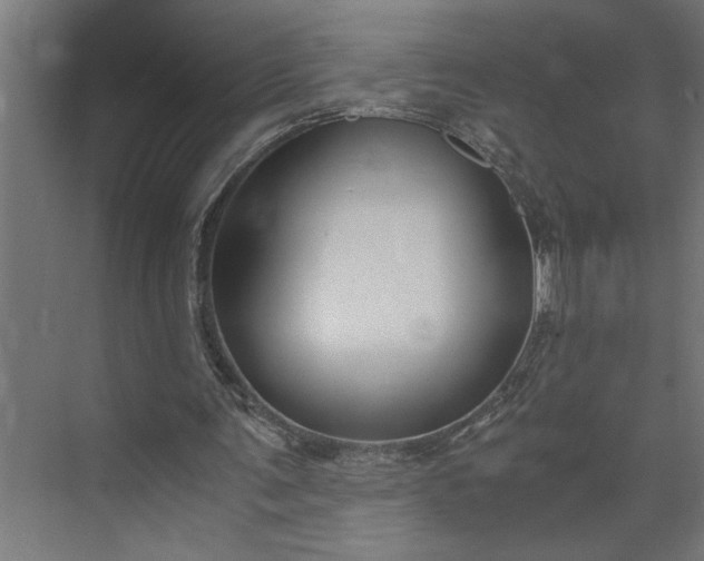 X0000073920291200608251556