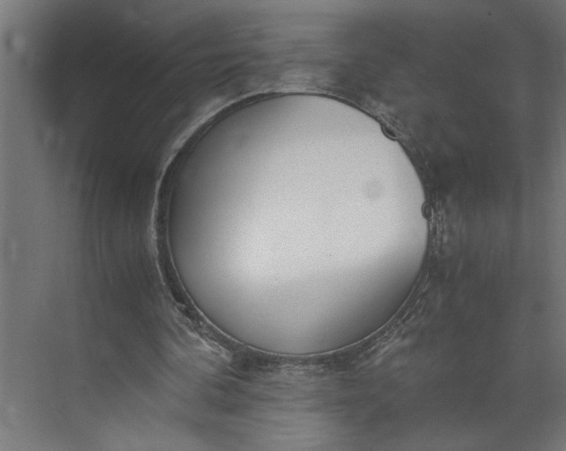 X0000073920292200608251556