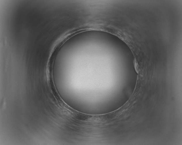 X0000073920294200608251556