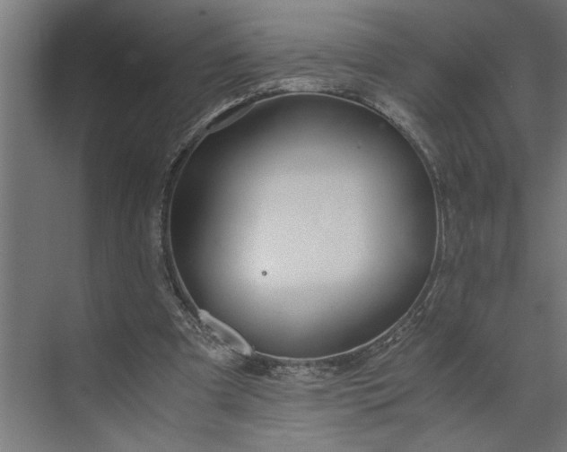 X0000073920297200608251556