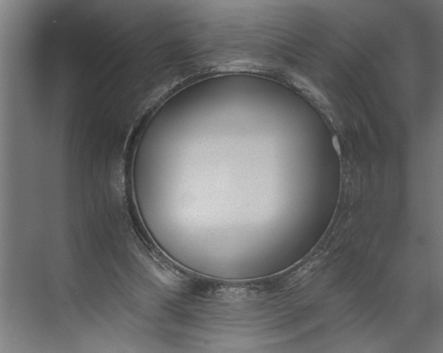 X0000073920298200608251556