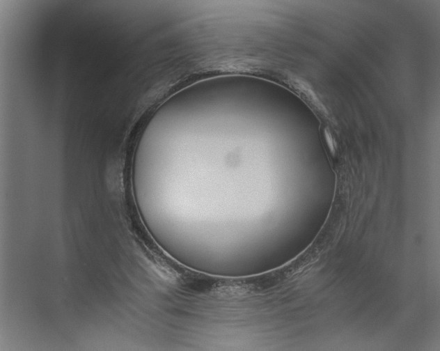 X0000073920299200608251556